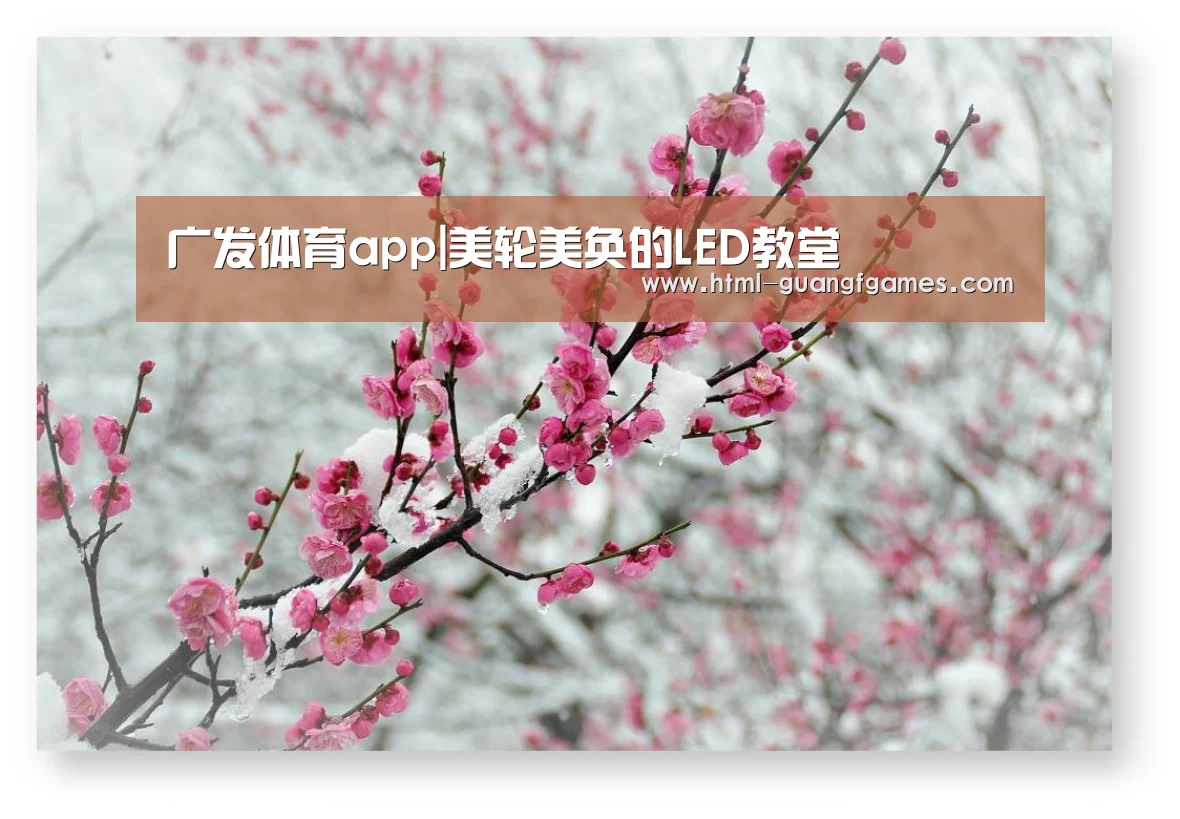 广发体育app|美轮美奂的LED教堂