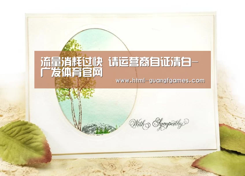 流量消耗过快 请运营商自证清白-广发体育官网
