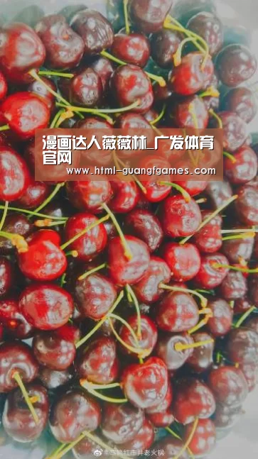 漫画达人薇薇林_广发体育官网(图4) 广发体育