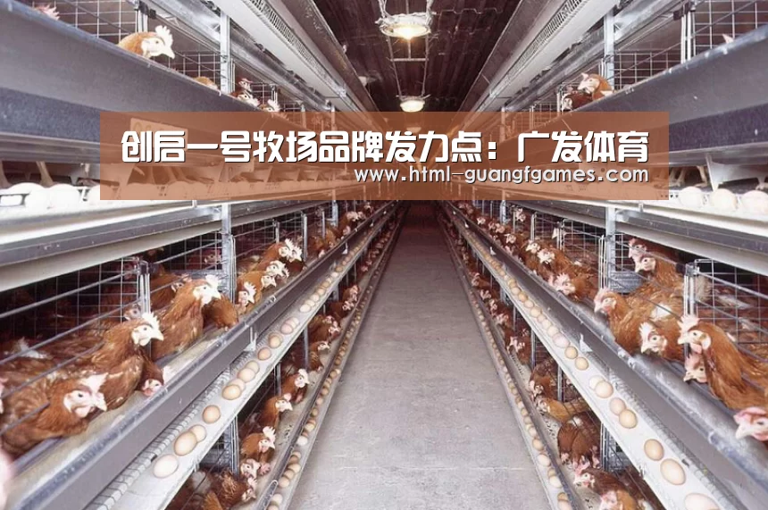 创启一号牧场品牌发力点：广发体育