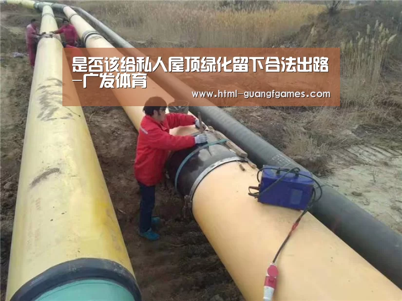 是否该给私人屋顶绿化留下合法出路-广发体育