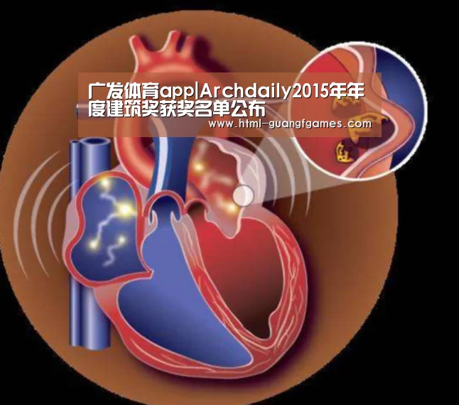 广发体育app|Archdaily2015年年度建筑奖获奖名单公布